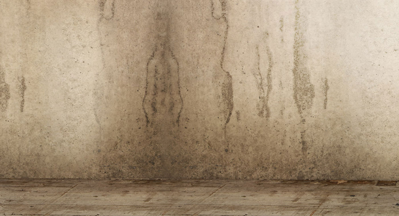 full screen background image